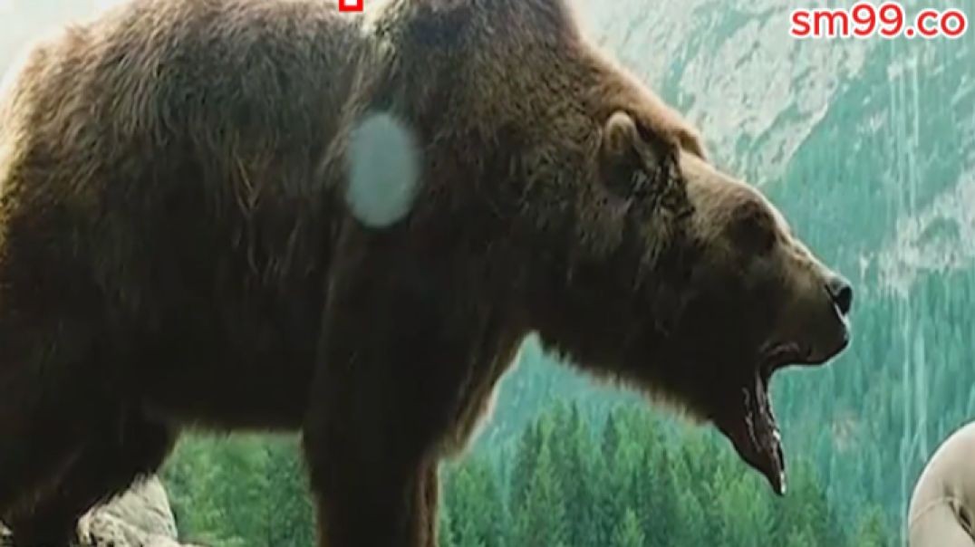 ⁣ខ្លាឃ្មុំនិងអ្នកប្រមាញ់..!!!