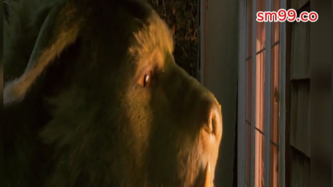 ⁣នាគយក្សរោមបៃតង..!!!